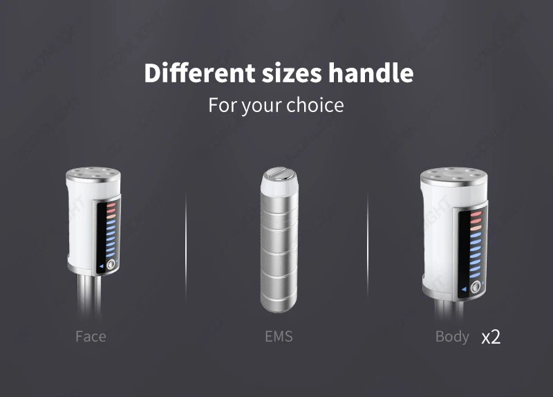 Inner Roller Ball Body & Face Sculptor best