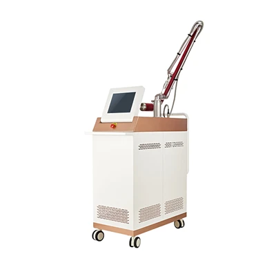 Profesyonel CO2 Lazer Makinesi